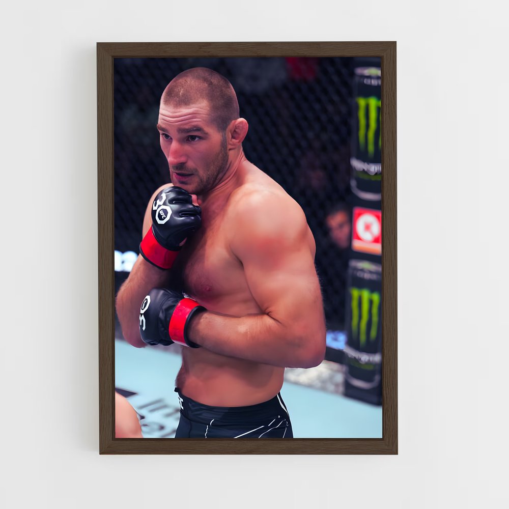 Poster Sean de strickland – affiche MMA (vue 5)